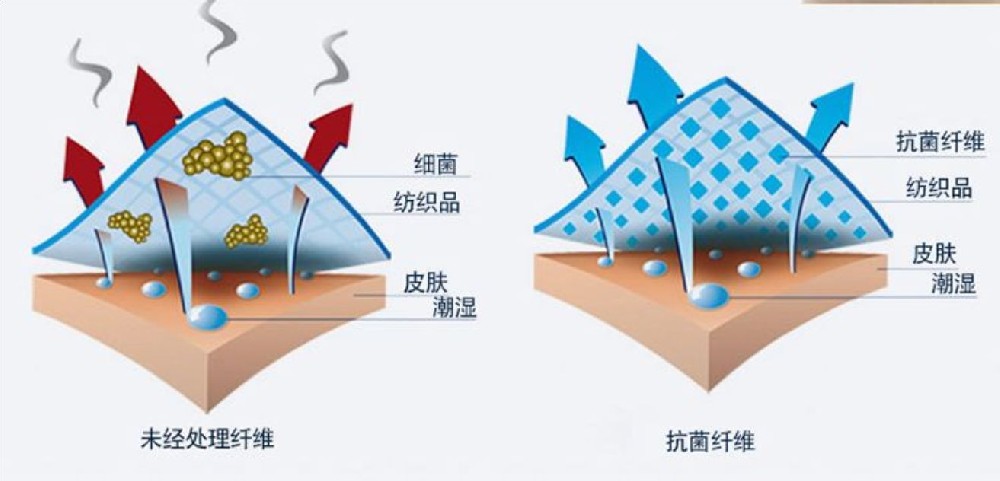 鞋臭的来源及解决方法